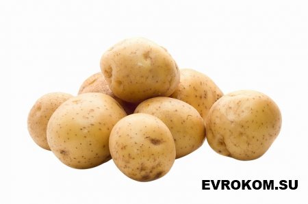 Что нужно знать о картофеле